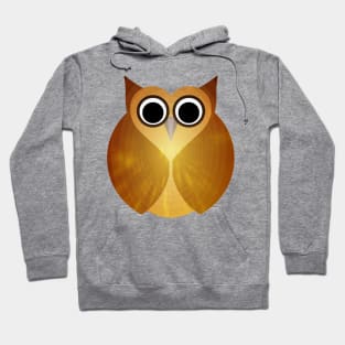 Brown Owl! Hoodie